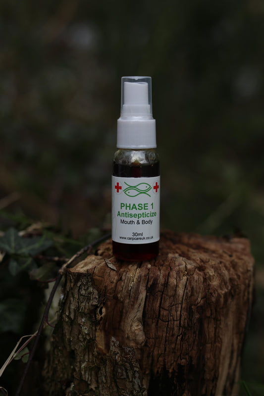 Antisepticize - Phase 1