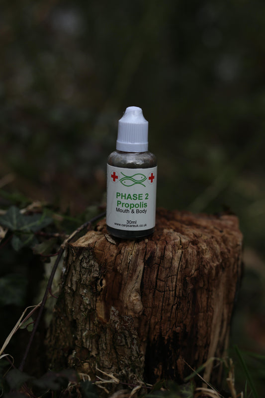 Propolis - Phase 2