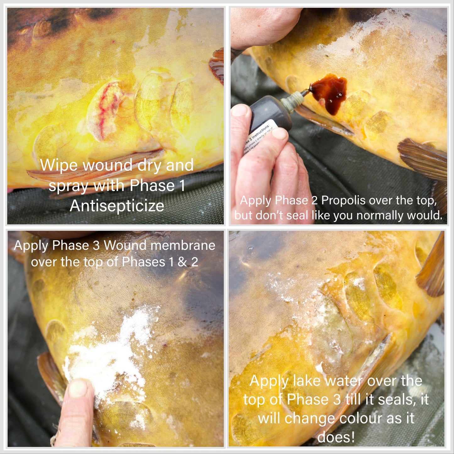 3 Phase Carp Care Kit